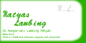matyas lambing business card