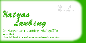 matyas lambing business card